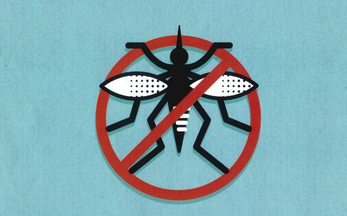 Xerrada informativa a Sueca sobre els perills i la prevenció del mosquit tigre