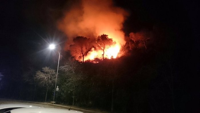 Els bombers tallen un incendi forestal declarat prop d’una urbanització de Cullera